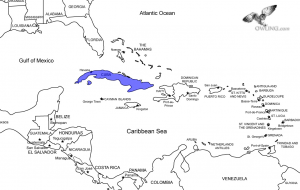 Cuban Pygmy-Owl Range Map