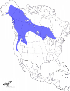 Great Gray Owl Range Map