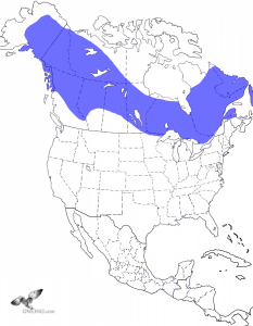 Northern Hawk Owl Range Map