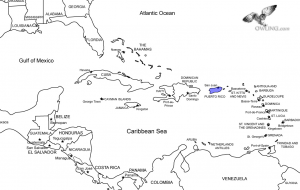 Puerto Rican Screech-Owl Range Map