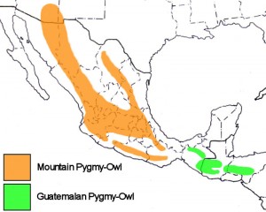 Mountain/Guatemalan Pygmy-Owl Range Map