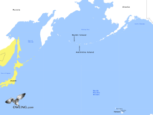 Oriental-Scops-Owl North America Range Map
