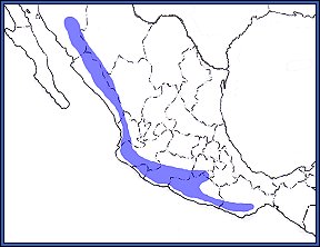 range map colima owl