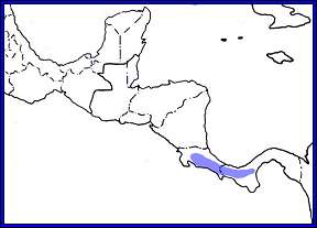 range map costa rican pygmy owl