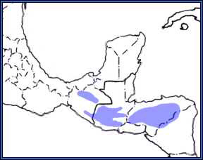 range map fulvous owl