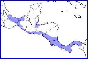 Range map for Spectacled owl