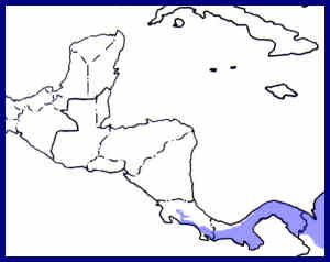 range map for tropical screech owl