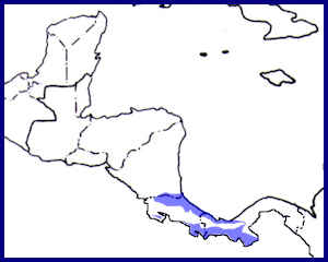 Vermiculated Screech-Owl Range Map